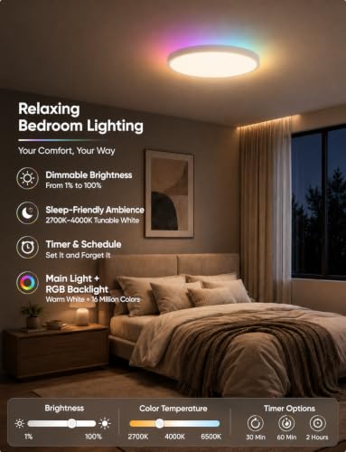 Smart RGB Ceiling Light 12 Inch RGBCCT WiFi App Voice Control