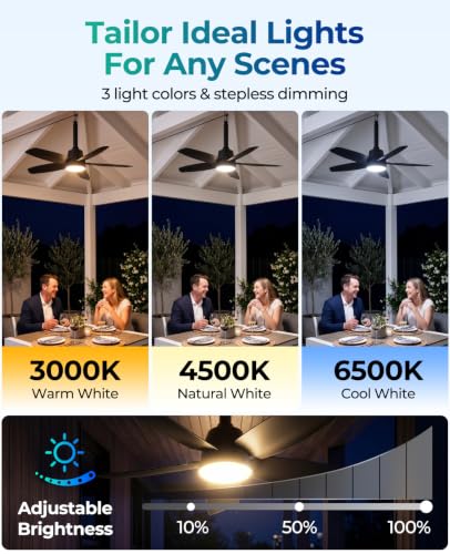 Outdoor Ceiling Fan with Light