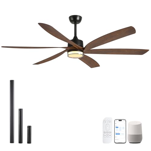604 Smart Ceiling Fan with Light