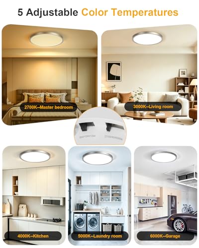 Flush Mount Ceiling Light