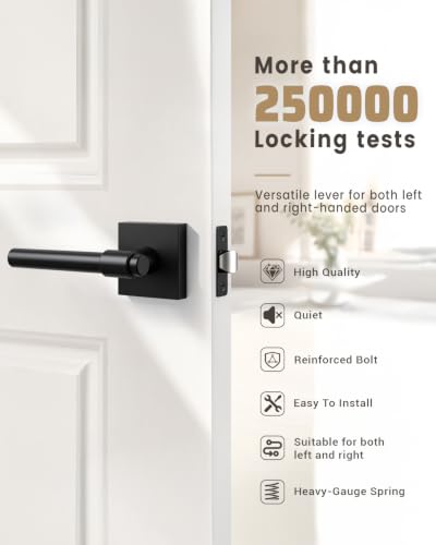 Interior Door Handle Sleek Ring Design