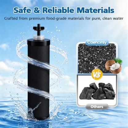Water Filter Replacement