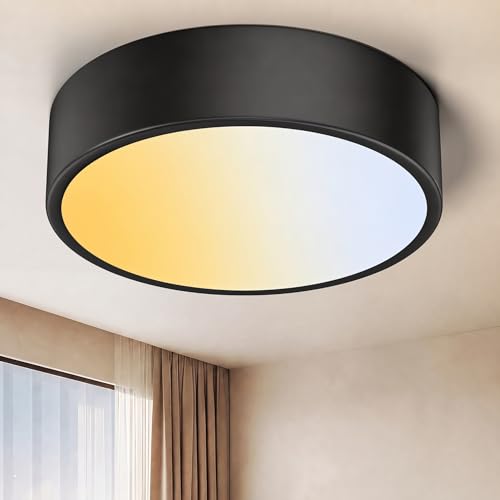 5CCT Dimmable LED Flush Mount Ceiling Light Fixture
