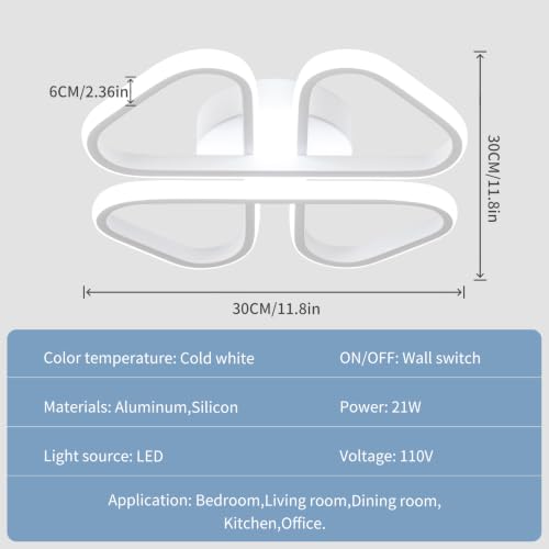 Modern LED Ceiling Light