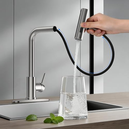 4 Mode Kitchen Faucet with Pull Down Sprayer