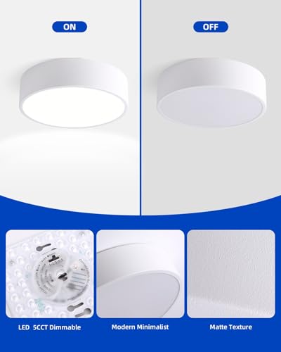 LED Ceiling Light