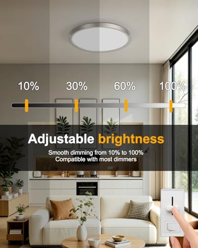 Flush Mount Ceiling Light