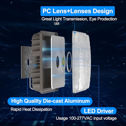 LED Canopy Light