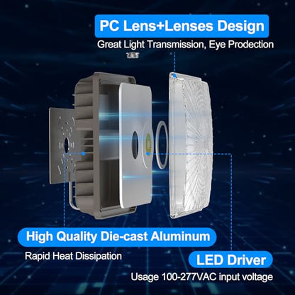 LED Canopy Light