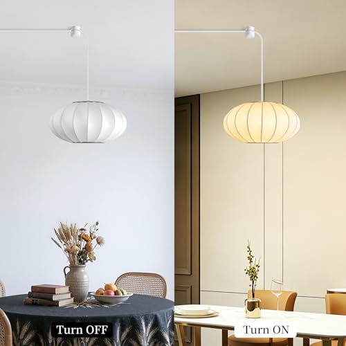 Plug in Lantern Pendant Light
