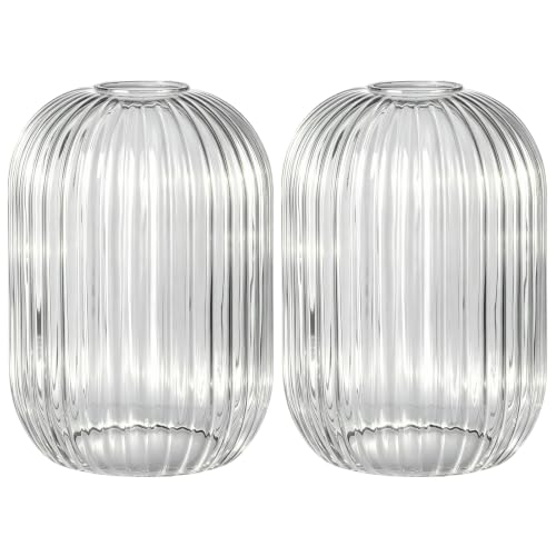 2PACK Glass Shade