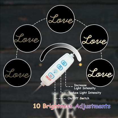 Love Neon Signs (Love)