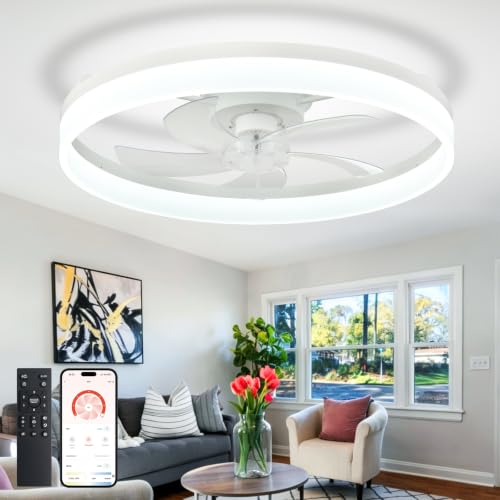 DLLT Modern Ceiling Fans with Lights