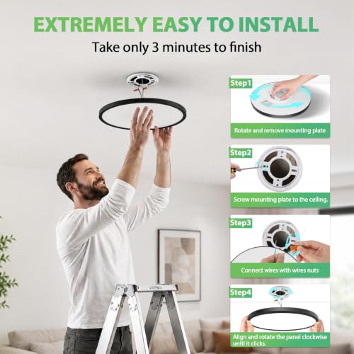 Black LED Flush Mount Ceiling Light Fixtures Dimmable 5CCT