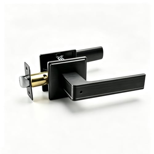 Privacy Door Handle with Lock