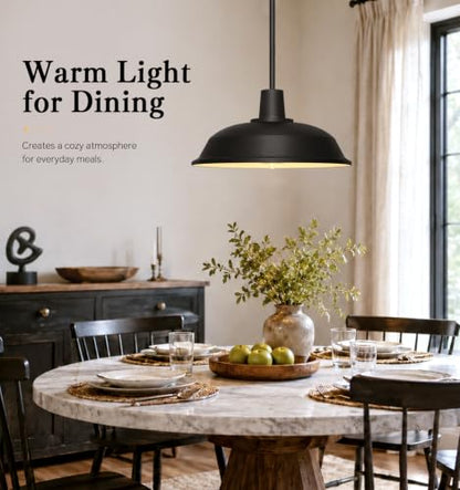 Indoor Pendant Light
