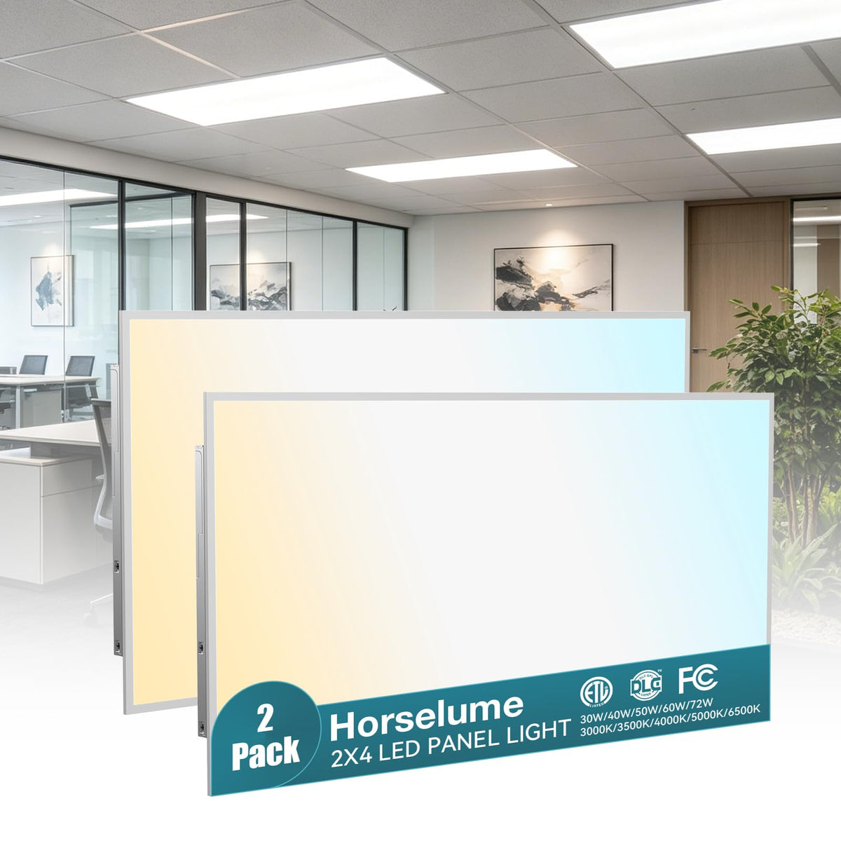 2 Pack 2x4 LED Flat Panel Light (2Pack)