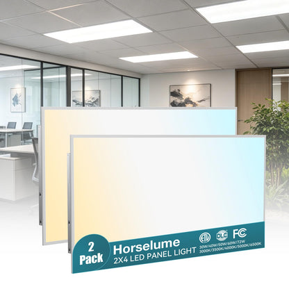2 Pack 2x4 LED Flat Panel Light (2Pack)