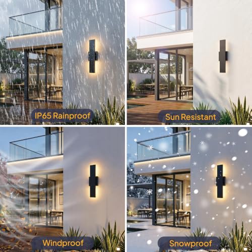 2 Pack Outdoor Wall Lights