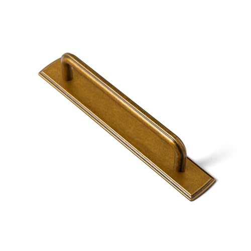2 Pack Cabinet Pulls with Backplate 2510