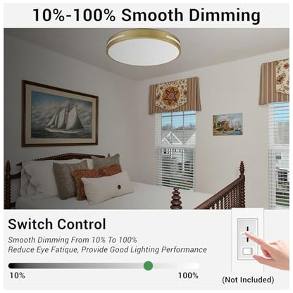 Close to Ceiling Light VC10