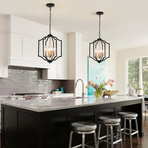 Black Chandelier Light Fixture