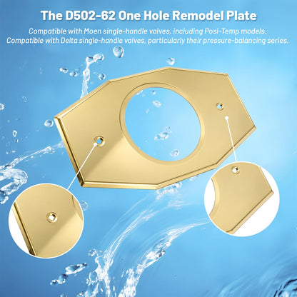 One-Hole-Remodel-Cover-Plate for 2 Handle or 3 Handle Shower Polished Brass (Brass)