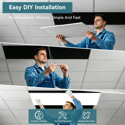 2 Pack 2x4 LED Flat Panel Light (2Pack)