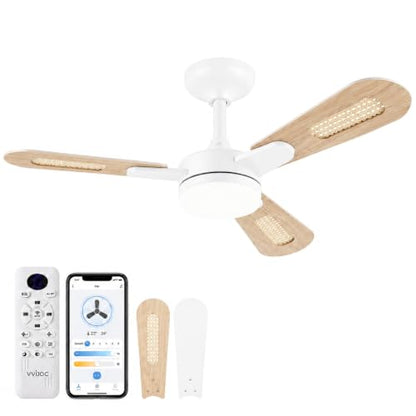 Ceiling Fans with Lights