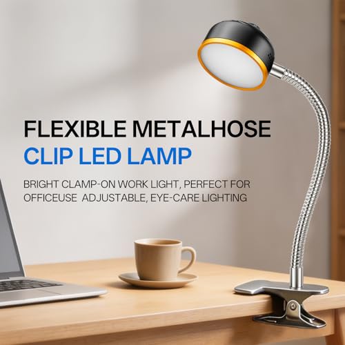Work Light 2500 Lumens Task Light