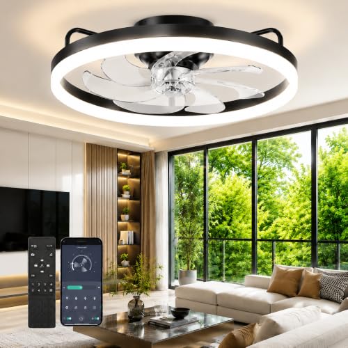 Ceiling Fans with Lights and Remote