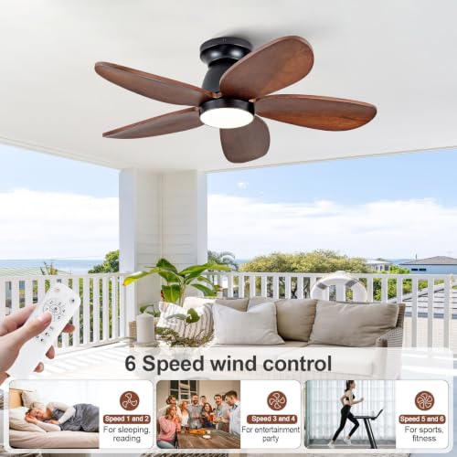 Ceiling Fan with Light