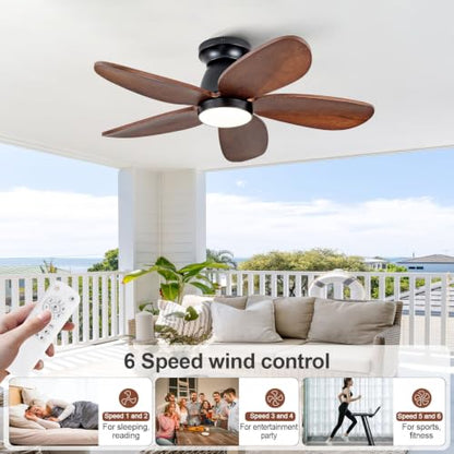 Ceiling Fan with Light