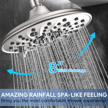 Shower Head with Handheld Combo (Brushed Nickel)
