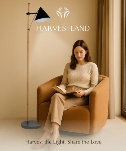Noah Reading Floor Lamp