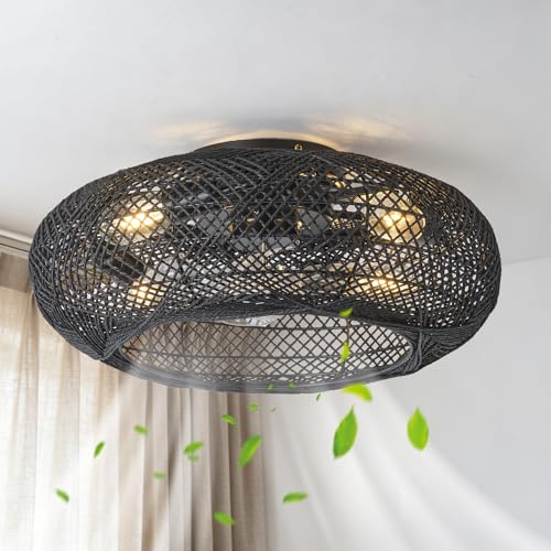 ceiling fan