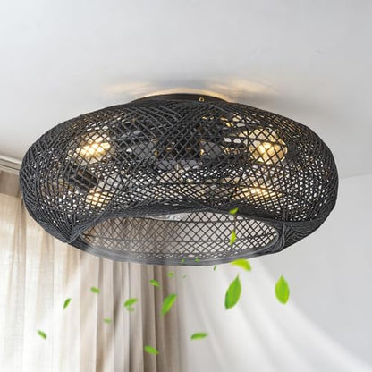 ceiling fan