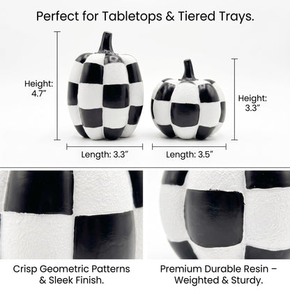 Black and White Checkered Pumpkins for Halloween Decoration Indoor (Black and White-2pcs / Resin)