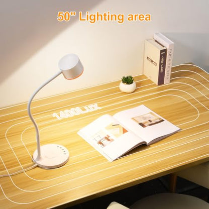 Desk lamp with USB Charging Ports