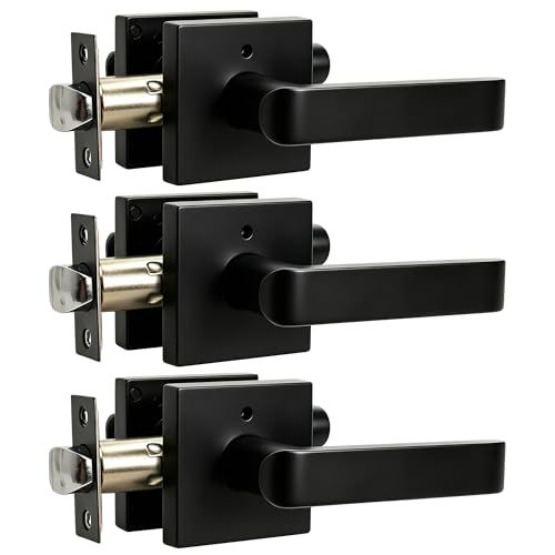 Interior Privacy Door Lever