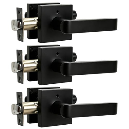 Interior Privacy Door Lever