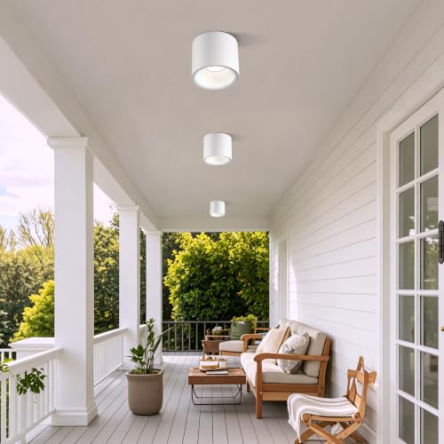 Flush Mount Dimmable Outdoor Ceiling Light Fixture