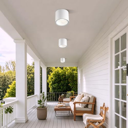 Flush Mount Dimmable Outdoor Ceiling Light Fixture