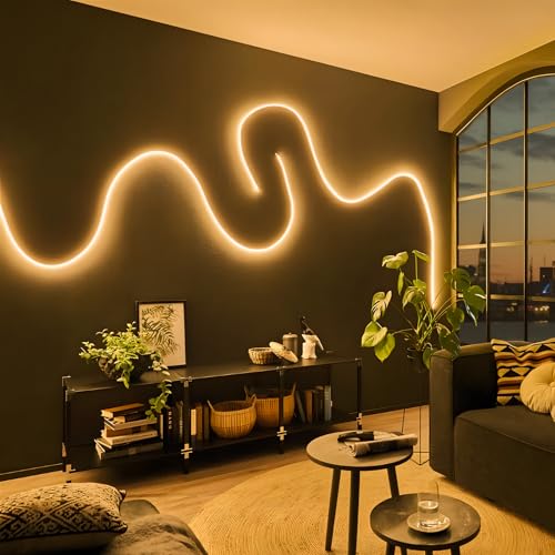Neon Rope Lights