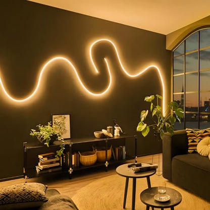 Neon Rope Lights