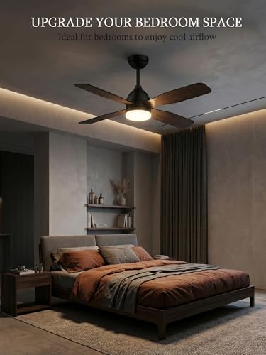 Ceiling Fans with Lights