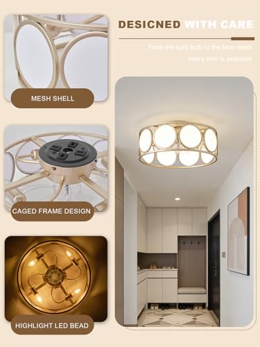 Ceiling Fans