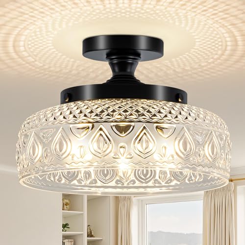 Semi Flush Mount Ceiling Light Fixture