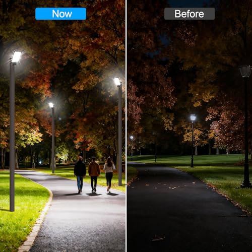 Turnnion Mount Parking lot Lights