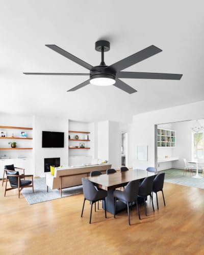 Large Ceiling Fan with Lights